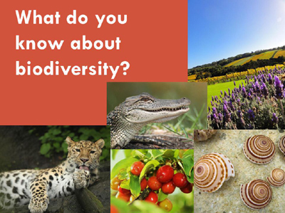 Biodiversity and its impact on our Enviornment