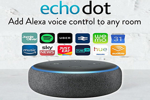 Amazon Echo Voice search 