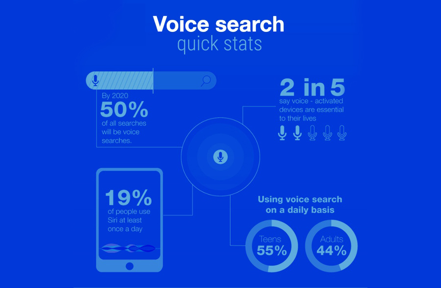 voice search stats 