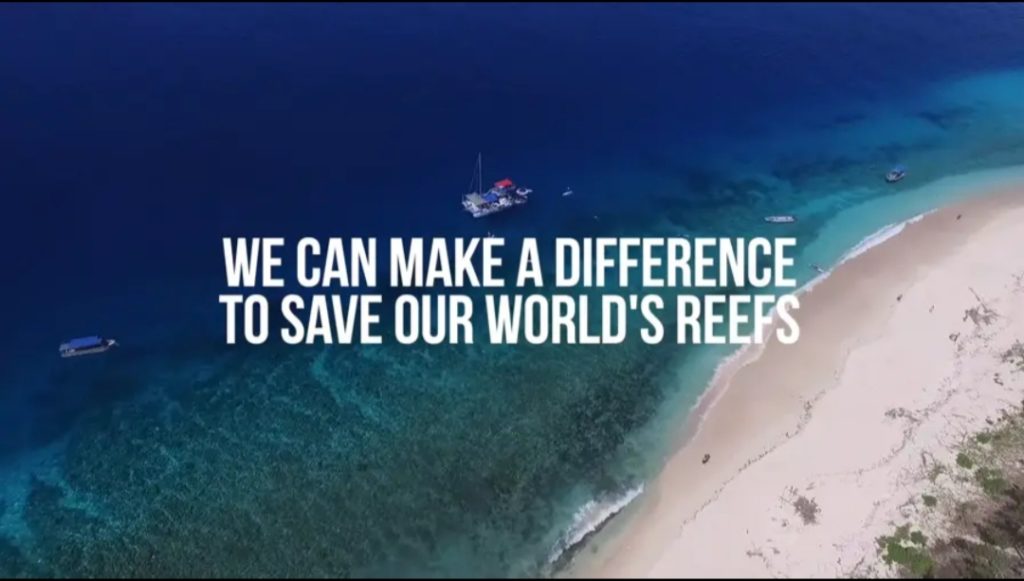 Save CORAL Reefs Save Ecosystem Century Media360