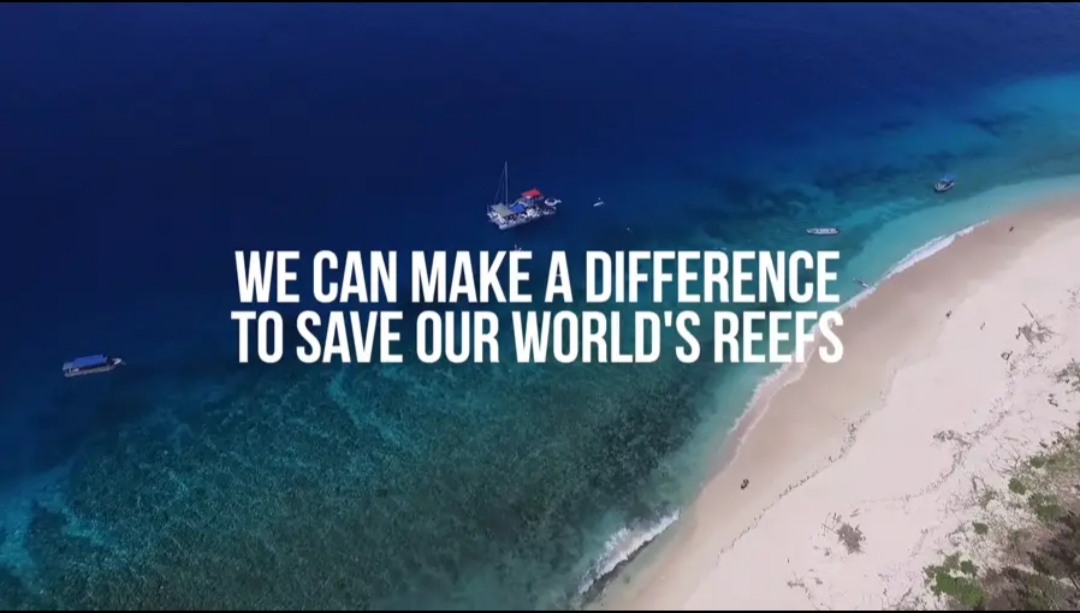 Save Coral Reefs - 1