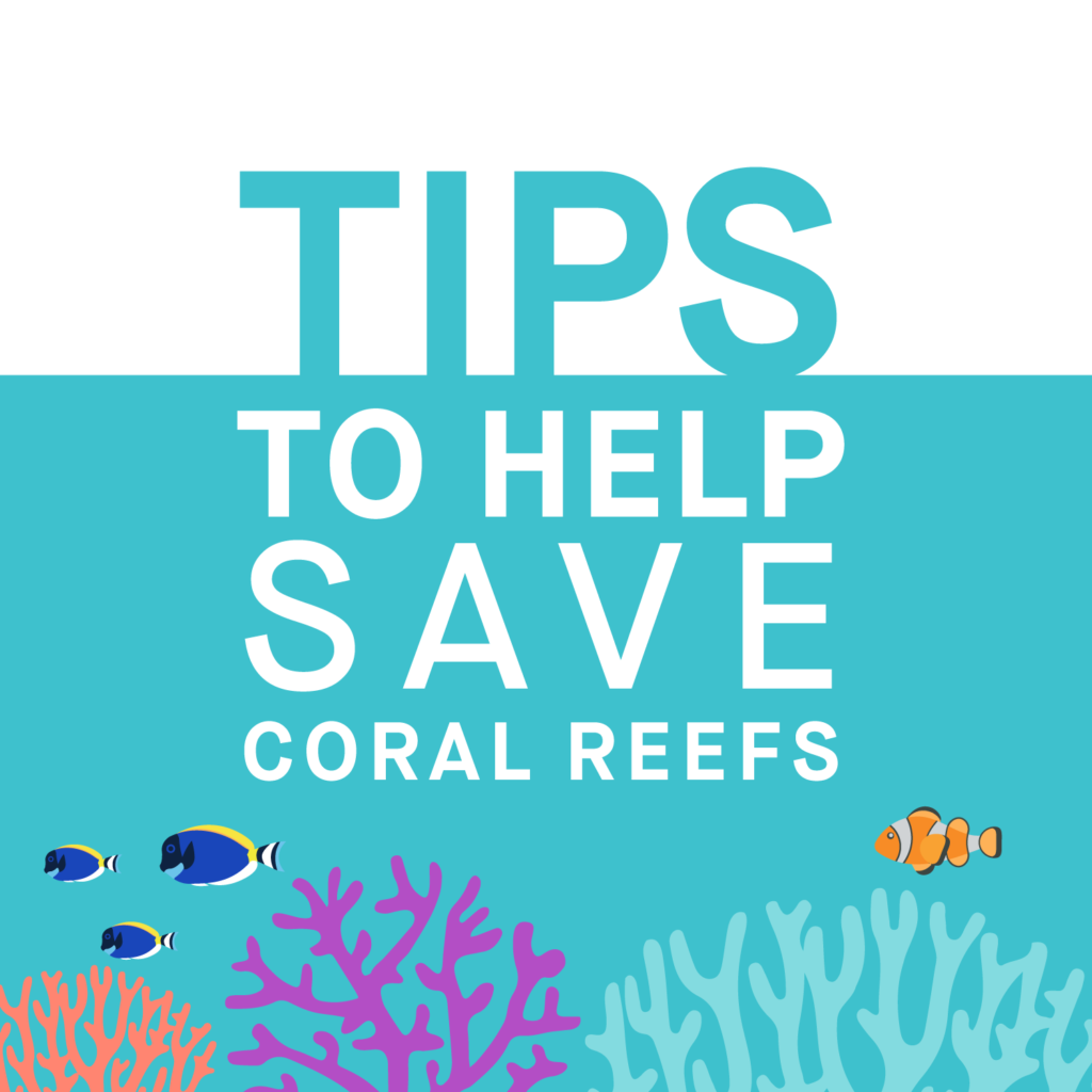 Save CORAL Reefs Save Ecosystem Century Media360