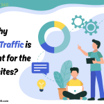 Why organic traffic is important for the websites? 